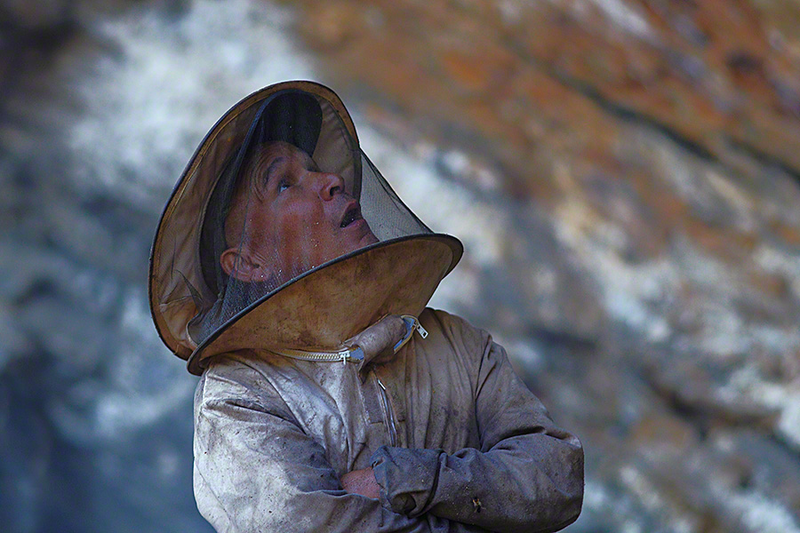 Illustration for article titled Stunning photos show the ancient tradition of honey hunting in Nepal